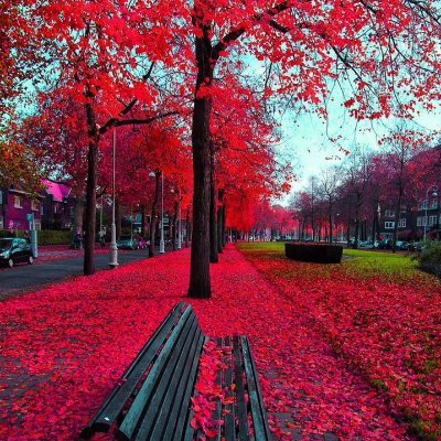 ChaiMupe's profile picture. Deals in wholesale and retail-coconut place your order today