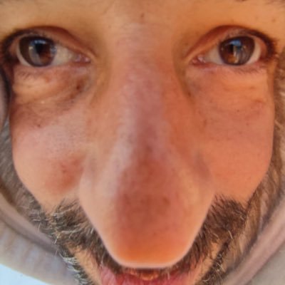 tiagosousadias's profile picture. Chairman and Janitor of $INC