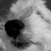Stink (@kathyw1192765) Twitter profile photo Stink (@kathyw1192765) Twitter profile photo