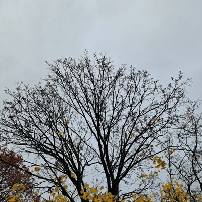 I am an entrepreneur with a business project and am currently looking for collaborators and investors. I used to have my own company and my own commercial br