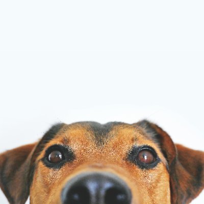 ThePreacher540's profile picture. All Python solutions for the #gfg160 challenge