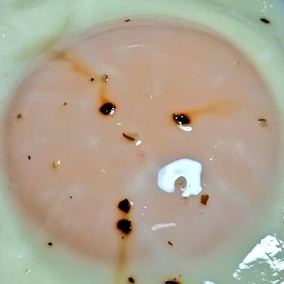 かなめさんのプロフィール画像