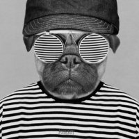 James Tansley (@tansleyjames) 's Twitter Profile Photo James Tansley (@tansleyjames) 's Twitter Profile Photo