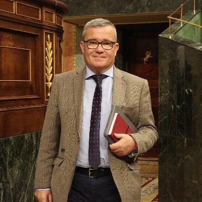 Diputado por Madrid en el Congreso. Presidente de la Comisión de Educación, FP y Deportes. Portavoz del PSOE en el Ayuntamiento de Arganda.