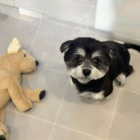 mickey_san (@mickida92632) 's Twitter Profile