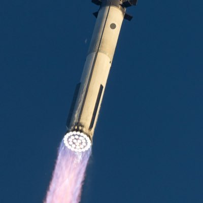 User12441141413's profile picture. 