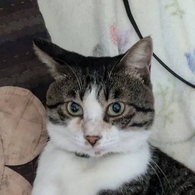 jupiter4441's profile picture. 