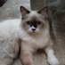 Seonggok Cerita (@seonggok_cerita) Twitter profile photo Seonggok Cerita (@seonggok_cerita) Twitter profile photo