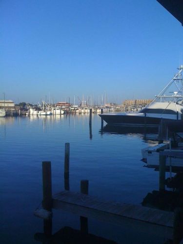 LynnAhpeatone's profile picture. 