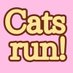 Cats run!〜猫の日に贈る、猫だらけのRTAイベント〜 (@catsrun222) Twitter profile photo Cats run!〜猫の日に贈る、猫だらけのRTAイベント〜 (@catsrun222) Twitter profile photo