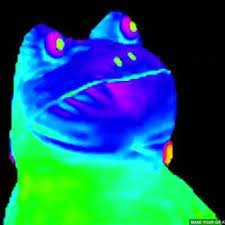 noahvrac's profile picture. 🇺🇸🏴󠁧󠁢󠁥󠁮󠁧󠁿🏴󠁧󠁢󠁳󠁣󠁴󠁿 / Jesus is king / America first