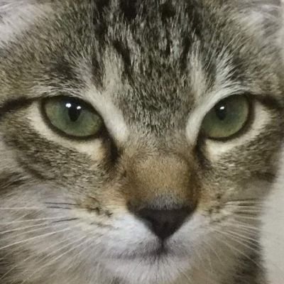 siV5TOxf4y895's profile picture. 