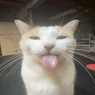 8ivy_ivy8's profile picture. 