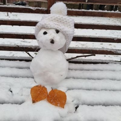 zero_hopes0's profile picture. 