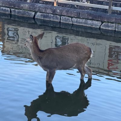 crypto_yjyj's profile picture. ETHTokyo'25 Finalist