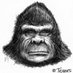 cryptosquatch (@cryptosqua54621) Twitter profile photo cryptosquatch (@cryptosqua54621) Twitter profile photo