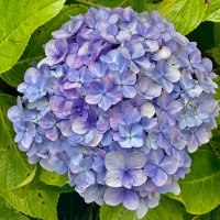 SFaircloth12 (@sfaircloth12) 's Twitter Profile Photo SFaircloth12 (@sfaircloth12) 's Twitter Profile Photo