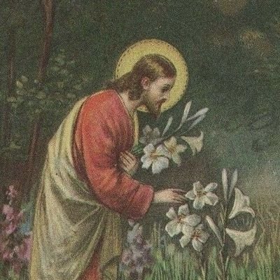 faustumu's profile picture. ✝️