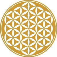 Soba Media (@sobadenki) 's Twitter Profile