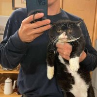 gataubingung!!! (@imnthink_) 's Twitter Profile