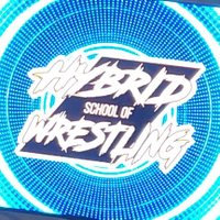 Hybrid School of Wrestling (@hybridsow) 's Twitter Profile