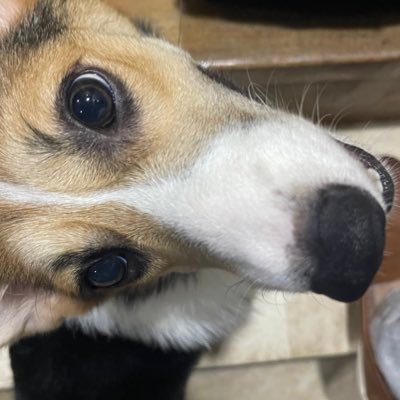 tmr122000's profile picture. 