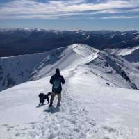 Lewis the Hydrologist (@_thehydrologist) 's Twitter Profile