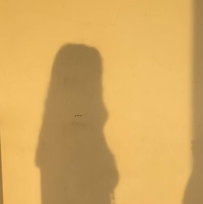 Ms_chizcake's profile picture. Private/cheesecake♡/09