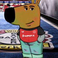 kimi (@kimisvb) 's Twitter Profile
