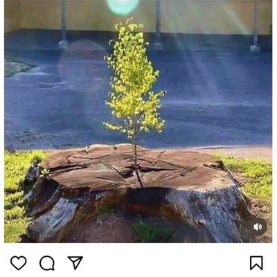 rky3811's profile picture. 