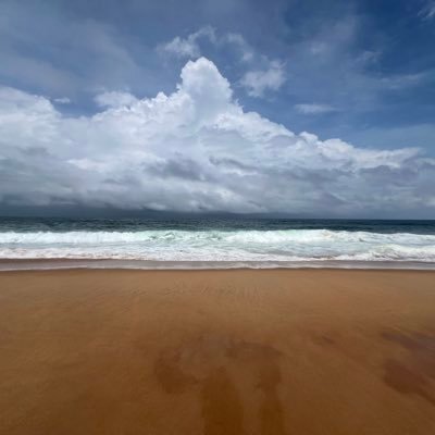 لا تَطلِبَنَّ مَحَبَّةً مِن جاهِلٍ المَرءُ لَيسَ يُحَبُّ حَتّى يُفهَماوَاِرفُق بِأَبناءِ الغَباءِ كَأَنَّهُم مَرضى فَإِنَّ الجَهلَ شَيءٌ كَالعَمى