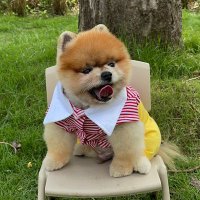 BN Babymate🐰🐰 (@bussarinhincha1) 's Twitter Profile