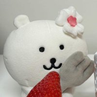 Annie (@chole0347654467) 's Twitter Profile