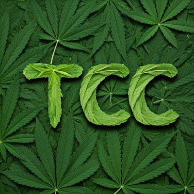 thecloneconnect's profile picture. SoCal Cannabis Nursery 🌴 Text 424-451-0101 for Current Menu 🌱 Verified Genetics 🏁 Shipping Available ✈