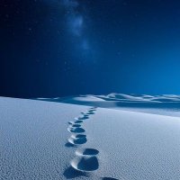 Croquette (@croquetted42336) 's Twitter Profile Photo