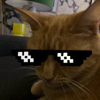 Rowhen10 (@rowhen10yt) 's Twitter Profile