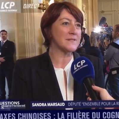 Députée #Charente 2e circo #Ensemble pour la République #geographeurbaniste