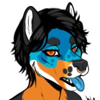 Kodiak 🦏 (@adamma87) 's Twitter Profile