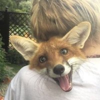 Israel Ganir (@israelganir2) 's Twitter Profile