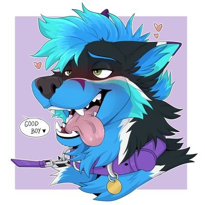 Zephyr Folfさんのプロフィール画像
