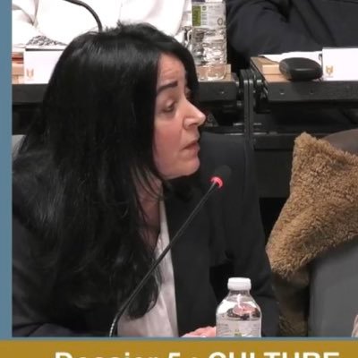 CatherinePUJOL1's profile picture. Conseillère Municipale & Communautaire de Perpignan Déléguée Santé Publique - Handicap / Ancienne Députée XVème Législature 🇫🇷 / Cadre Supérieur de Santé