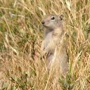 Derrick Keith - @DerrickKeith2 - Twitter