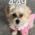Amy (@amybeth8899) Twitter profile photo Amy (@amybeth8899) Twitter profile photo