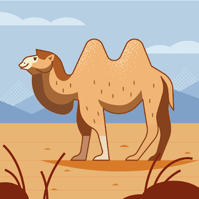 awd36019's profile picture. 