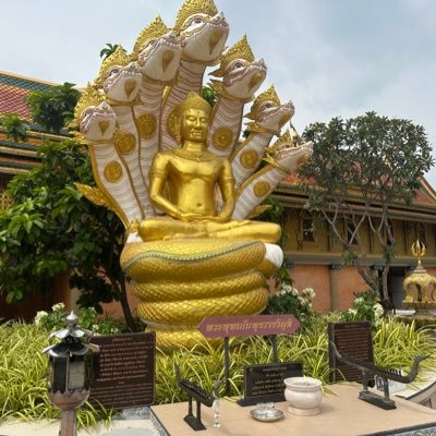 aok_NW's profile picture. Seeing the world is my one passion. Hoping I live long enough to see the World Series in Seattle or Portland as the case may be. @PDXDiamondProj