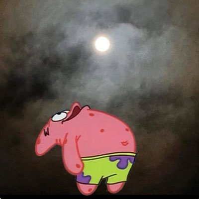 Ottana36's profile picture. 🌕🌖🌗🌘🌑🌒🌓🌔🌕