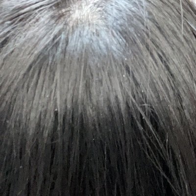 ひじきさんのプロフィール画像