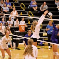 Peyton Nagle (@peyton_nagle) 's Twitter Profile