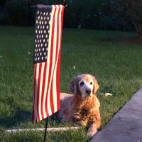 Rocketman (@rocketman4usa) 's Twitter Profile