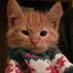 Meow (@herinfliction) Twitter profile photo Meow (@herinfliction) Twitter profile photo